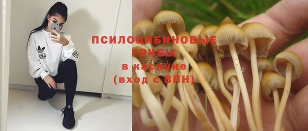 гидра Каменногорск