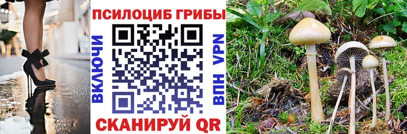 Купить закладки  Таганрог  Галлюциногенные грибы мицелий 